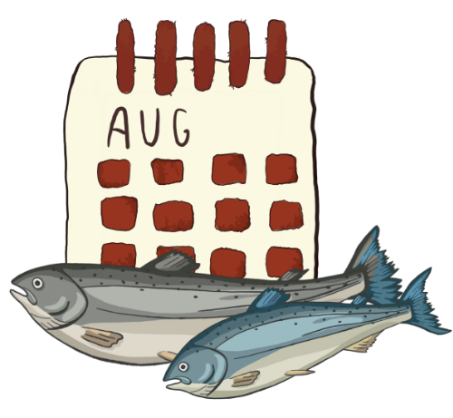 Eine Illustration eines aufgeklappten Kalenders und von zwei Fischen