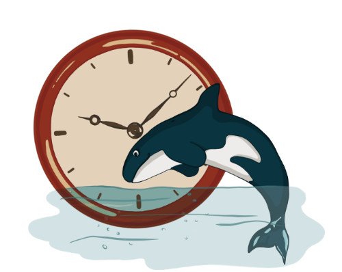 Eine Illustration einer Uhr und eines springenden Orcas.